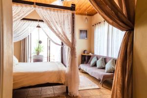 Chameleon Backpackers & Guesthouse tesisinde bir odada yatak veya yataklar +37 fotoğraf