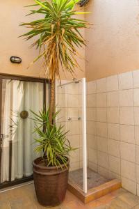 Chameleon Backpackers & Guesthouse tesisinde bir banyo