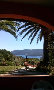uma vista para uma palmeira a partir de uma janela de carro em Gavila's Residenza Turistico Alberghiera em Porto Azzurro