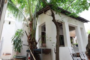 Fotografie z fotogalerie ubytování Moon house tropical garden - Valentine v Nha Trangu