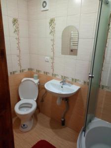 スラブスクにあるЕдельвейсのバスルーム(トイレ、洗面台付)