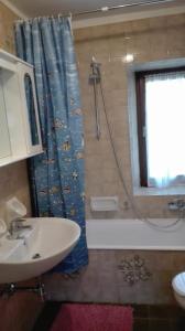 bagno con lavandino e doccia con tenda per la doccia di Appartamento lerpino a Sappada