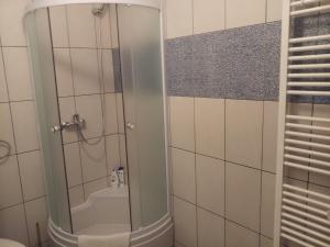 a shower with a glass door in a bathroom at Apartman 3S Pale Jahorina in Pale +11 photos