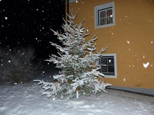 Ferienhaus Wohleser v zimě