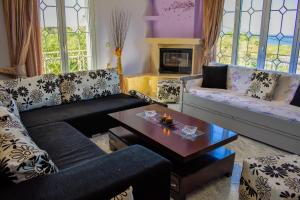 ANEMOS HOLIDAYS HOUSE في Kypseli: غرفة معيشة مع كنبتين وطاولة قهوة