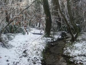 Villa Bosque Albite during the winter