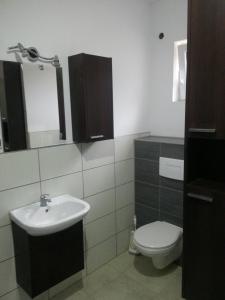 a bathroom with a sink and a toilet at Pod Klonem in Lądek-Zdrój