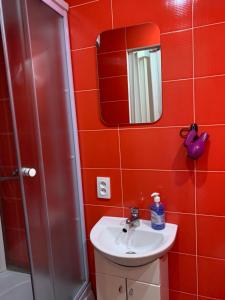 リヴィウにある5Kotliarska Moisha Houseの赤いタイル張りのバスルーム(シンク、鏡付)