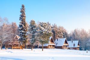 コストロマにあるPark Hotel Berendeevkaの雪の中の木々の丸太小屋