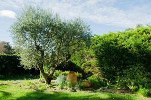 Vonkajšia záhrada v ubytovaní B&B Tina de Pacs, close to local wineries