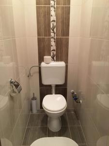 ハイドゥソボスローにあるMy Home Apartmanの小さなバスルーム(トイレ、シャワー付)