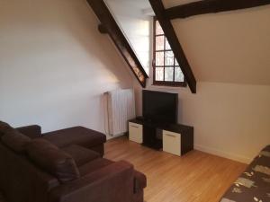 a living room with a couch and a television at Anim'O Perch' & Gîtes (AOPEG) in Mézières-au-Perche