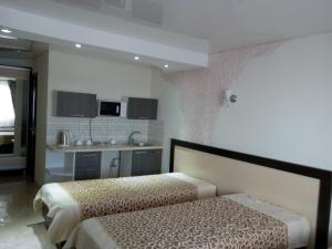 Habitación de hotel con 2 camas y cocina en Racu en Comrat