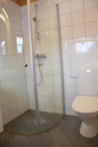 a bathroom with a shower and a toilet at Northern gate Besseggen - Cottage no 17 in Besseggen Fjellpark Maurvangen in Maurvangen