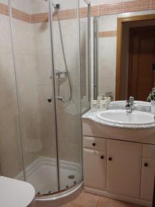 a bathroom with a shower and a sink at El Collado 17 in Soria