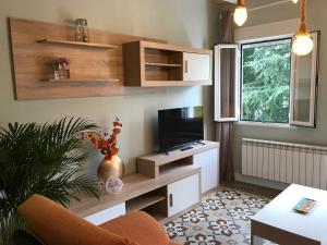 Televízia a/alebo spoločenská miestnosť v ubytovaní Charcos de Gredos