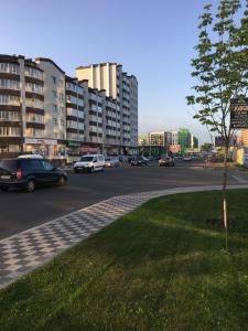 une rue de la ville avec des voitures garées sur la route dans l'établissement Апартаменты в 3км аэропорта Киев, à Vychneve