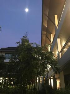 a tree in front of a building with a moon at Wilacha Chiang Rai in Chiang Rai