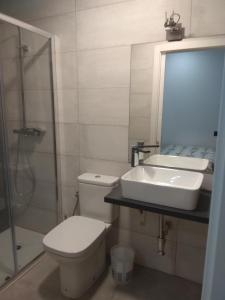 カセレスにあるCaleros 8 Estudio - Apartamentos de la Parte Antigua de Cáceresのバスルーム(トイレ、洗面台、シャワー付)