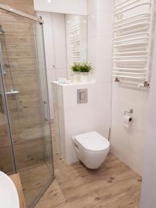 a white bathroom with a toilet and a shower at Apartament Nautica Pogorzelica in Pogorzelica