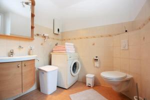 een badkamer met een wasmachine en een toilet bij Anna Ferienwohnung am Eifelsteig in Neroth