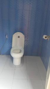 a bathroom with a toilet in a blue stall at Residencia Diosa in Siquijor