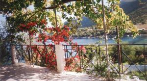 a tree with red berries on it next to a fence at Villa Errieta in Athéras