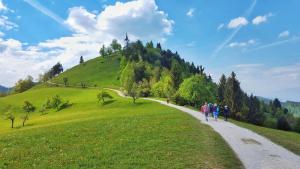 Foto de la galería de House for nature lovers en Medvode