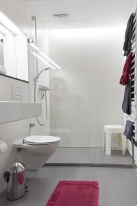 コンスタンツにあるSeesterne Comfortの白いバスルーム(トイレ、シャワー付)
