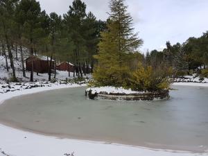 Príroda v okolí horskej chaty