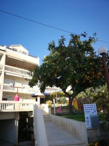 an orange tree in front of a building at Rooms Kasalo in Split