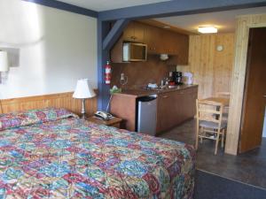 Kuchyň nebo kuchyňský kout v ubytování Lakeside Motel