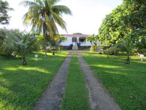 a dirt road in front of a house with palm trees at Ti Cajou in Baie-Mahault
