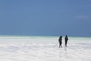 two people are standing in the water on the beach at Tulia Zanzibar Unique Beach Resort in Pongwe