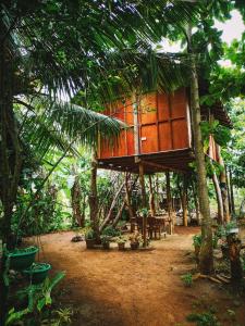 a tree house in the middle of a forest at Sigiri Aliya Tree house in Sigiriya