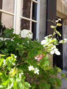 Fotografie z fotogalerie ubytování MUSIROSA v destinaci Vézelay