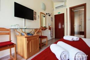 TV a/nebo společenská místnost v ubytování Apartment & Rooms Antonijela