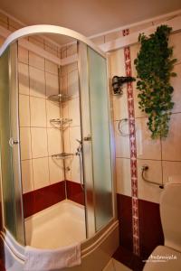 Kylpyhuone majoituspaikassa Apartment & Rooms Antonijela