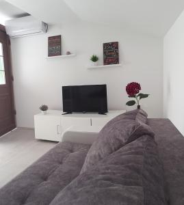 a living room with a couch and a flat screen tv at Apartment Aquamarine in Vir