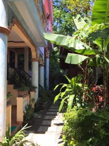 een veranda van een huis met een bos van planten bij Ocean Breeze Inn in Boracay