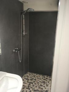 ein Bad mit einer Dusche, einem WC und einem Waschbecken in der Unterkunft appartement terrasseLouhans centre in Louhans