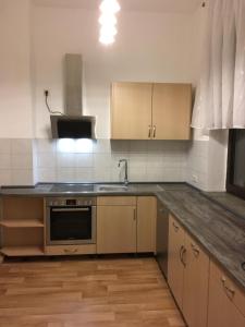 a kitchen with a sink and a stove top oven at Turmvilla Vogtland in Oelsnitz