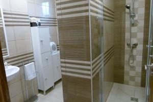 A bathroom at Wolf House Apartman