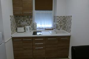A kitchen or kitchenette at Wolf House Apartman