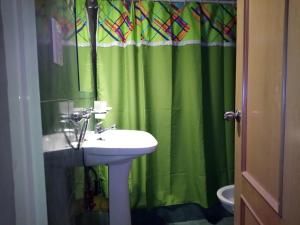 a bathroom with a sink and a green shower curtain at Los Nietos Alojamientos in Mendoza