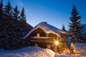 una baita di tronchi nella neve di notte di Seebachhaus a Planneralm