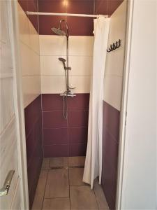 ein Bad mit Dusche und Duschvorhang in der Unterkunft Pokoje Gościnne in Przemyśl