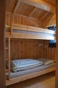 a bedroom with two bunk beds in a cabin at Northern gate Besseggen - Cottage no 17 in Besseggen Fjellpark Maurvangen in Maurvangen