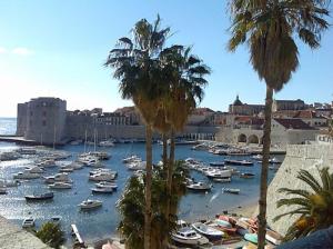 a bunch of boats in a harbor with palm trees at SerendipitY DubrOvniK CentrE-Free parkinG in Dubrovnik