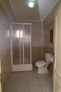 a bathroom with a shower and a toilet in it at Oreko Express in Afyon